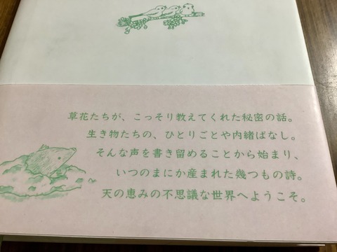 D5C996D4-A16D-4058-BC79-272E1FB93FD9