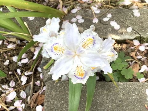 05654613-2CAD-4229-8C66-7D656A80811D