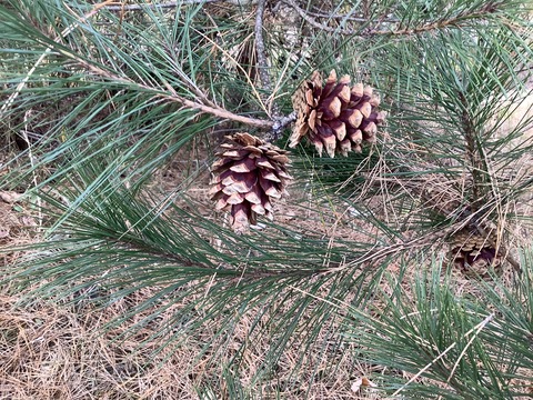 19FB2FC4-59EA-4675-B9A6-DCCB940F8B71