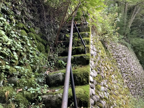 D9D3A4F9-5131-49C5-AFD1-E49BE2049A82