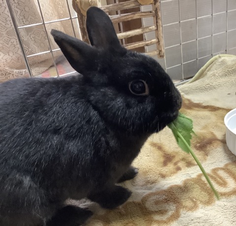 EA20E3F8-F172-4C83-954F-D7C15E8AAA4E