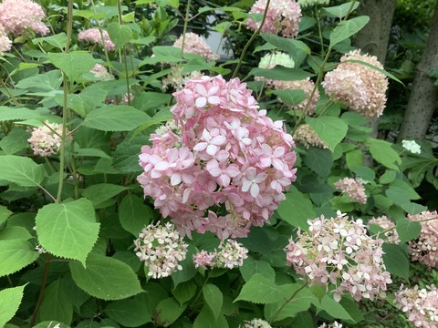 5236860E-B97C-42DB-B791-744BC301FFB5