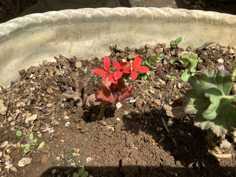 641A5FD4-3FB2-4E8E-BD27-B9B100D04597