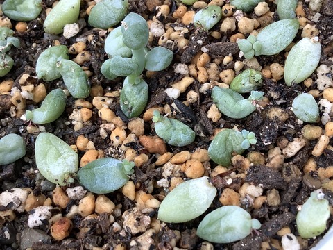 4A114C3F-ED45-46D1-B647-8C16C072B8F9