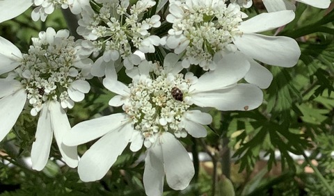 AEEC786F-353F-4F74-92D1-EDEC46938C1B