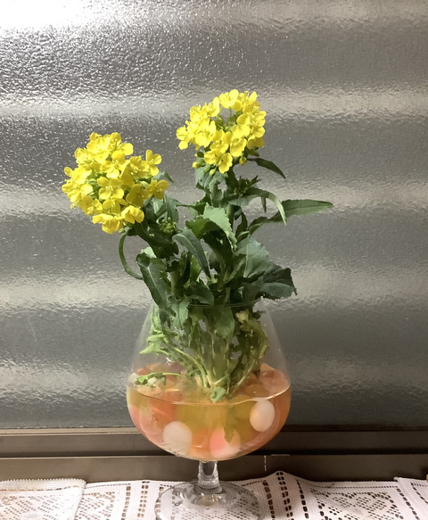 EE054FAA-9962-42C4-990A-CA8A334CC1E5