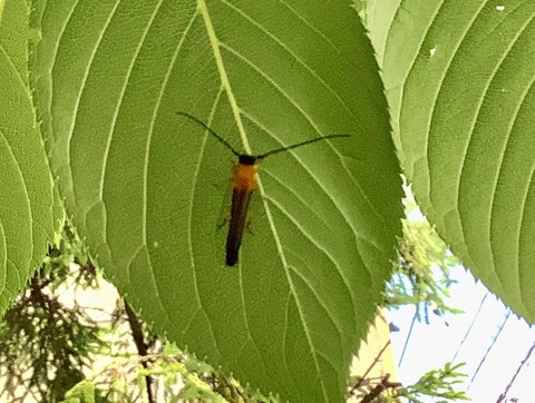 3CDE3D01-F45F-4DC6-BD00-5B78C8790F4D