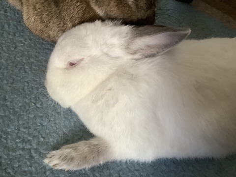 FB92E848-CE14-4B22-8F59-7B4D9B5B1B57