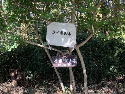 631F271F-FA7E-46DE-98AC-34C0DEDD0539