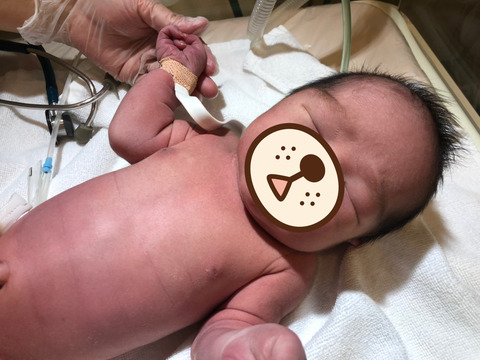 031146FD-C944-43D2-908D-F0EDC57CBDE7