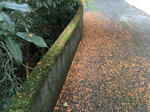 08C022F2-ECA7-4AA8-886D-EC45AB1590F7