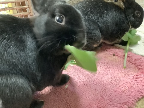 E0593BB0-CF0D-46F7-91CA-05E80944AB3E