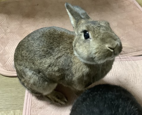 25A9AF9D-62CA-4005-A0F2-E0D0398C7679