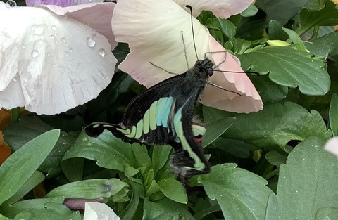 4E307CF4-FE89-4A6B-8EA2-FCF57DFF954C