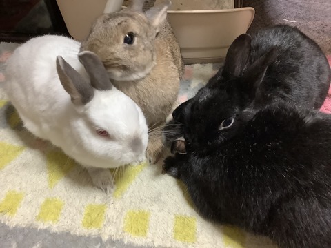 D6ECB236-6292-498B-BB28-CF897FED610F