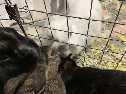 F549D051-68B4-49F2-B2D6-2BDCC223C46E