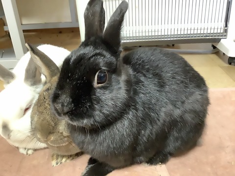 1CC0B468-ECE2-489C-BFDA-A83C86B09EF0