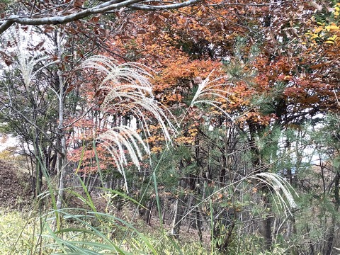 5900F6F6-3DDD-40A6-95DE-1E9BD4D35B81