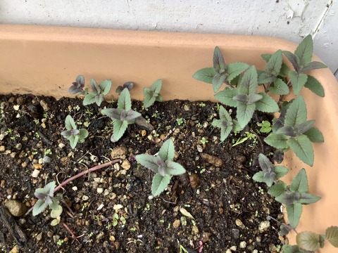 B538A772-1408-4026-8D40-CCF81EC5DDC7