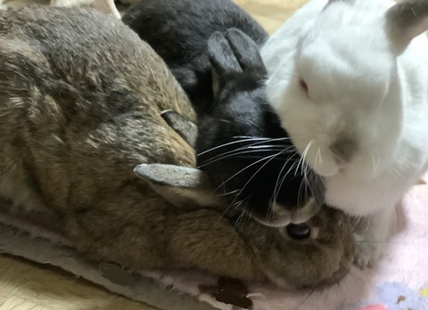 F4B472A3-4212-417B-B5F4-80D34D36AFA5