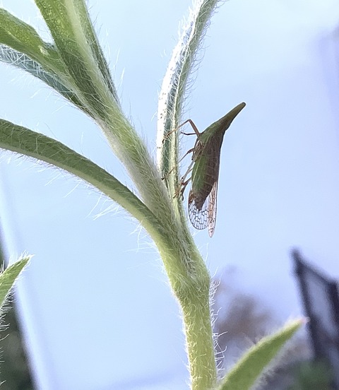 648ACF85-90C6-4A73-A250-9A2165F62B17