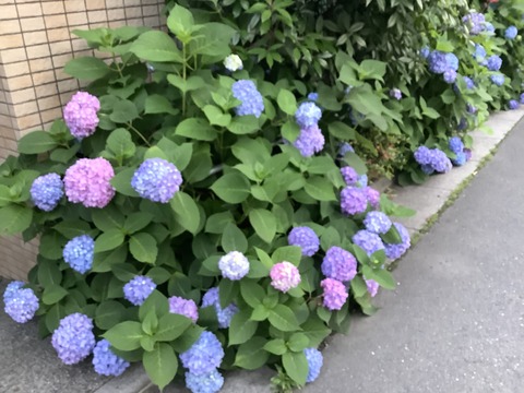 C5B636FB-9A3D-4289-8753-74AB8D8B2FB9