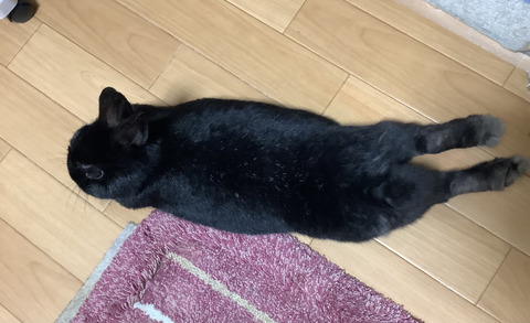 CA09BB4F-803C-4981-A776-2496F7644CD3