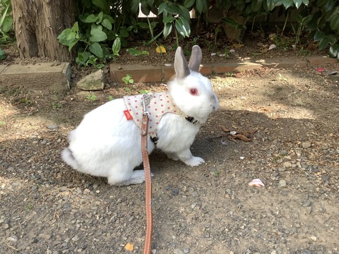 67F377D7-F9F3-4C5D-A105-43C71224876B