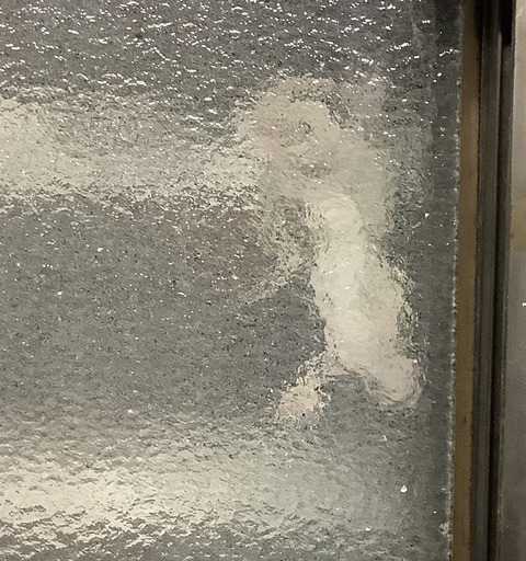 67B7F32C-7B82-4D4D-80E2-3D55D6054CAC