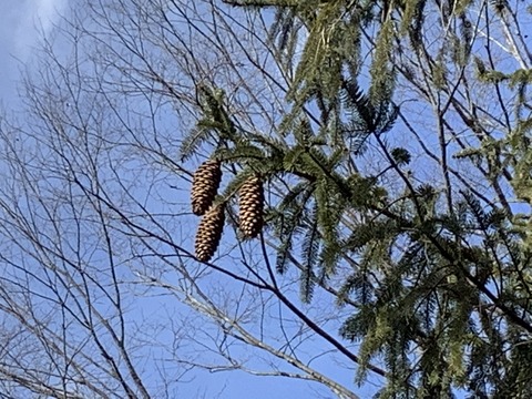 F95AD7BE-3459-4F00-8427-9960ABFB40E9