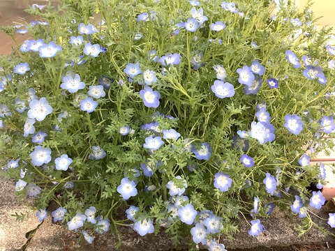 48915DA6-957E-4415-921D-BFFDAAA6BEDC