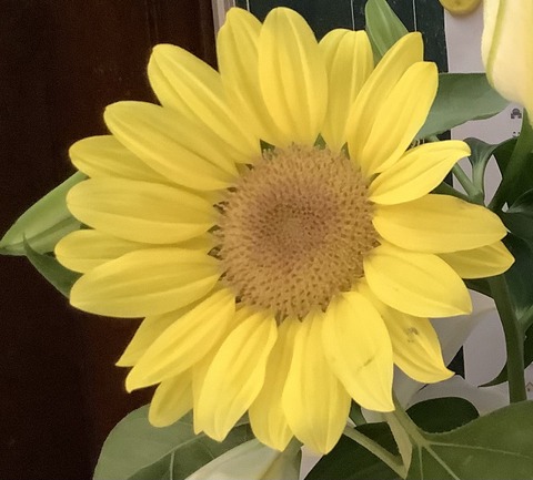 15856D3A-0E9D-47D8-9FC6-A101CB401DAA