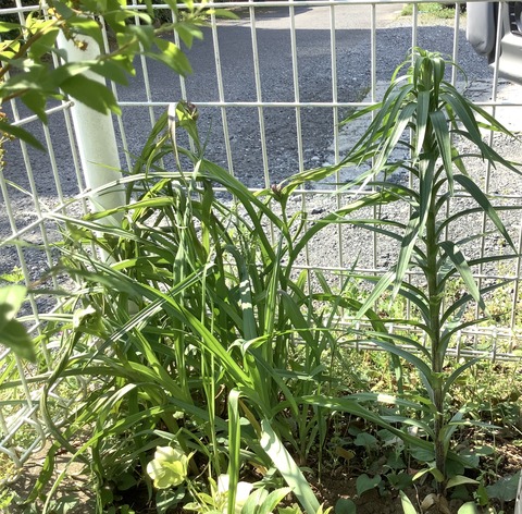 921226A7-7093-4C9F-886D-31B2F3F54503