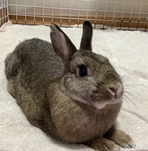 FB29D363-CE5F-4807-9318-30DDCC7FB022