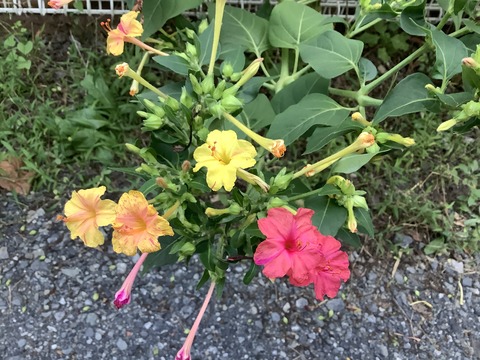 AE1E3AC8-D995-4A21-A452-3FAE9C10A6D1