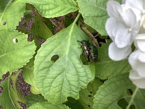 834486E7-7DEF-4412-8D02-E3563406A0F0