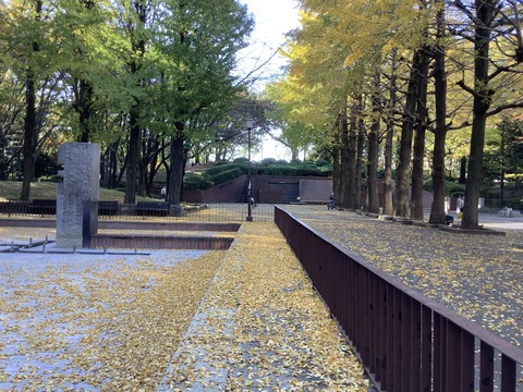 B92FA299-2DF7-4181-AF6A-393287FE8F62