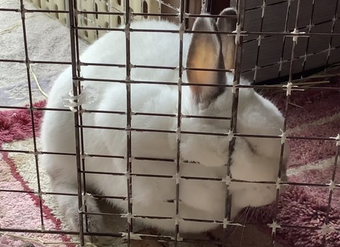 B4468FBD-CDBE-41F9-A2F2-AE3DB041F43F