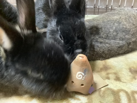 06977012-D200-46AB-AD78-6B17707AA3ED