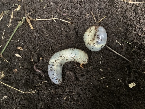 55974A20-A805-43C6-ACC3-DCE71963BD03