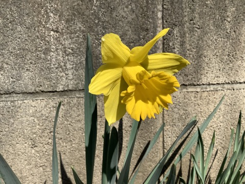 E12D0A9D-652C-483D-B8C0-0D3CB76DD365