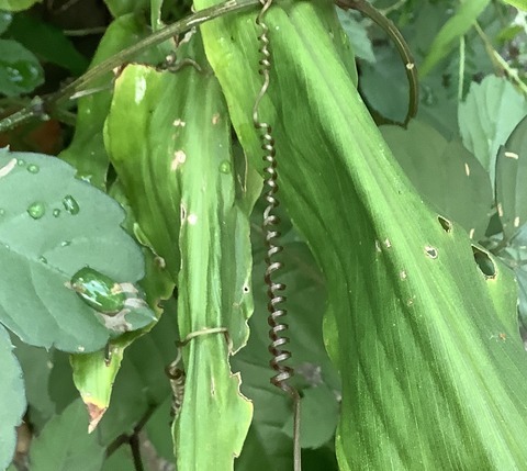 5EE4D59E-5867-4CEC-A796-3CC824C84DE0