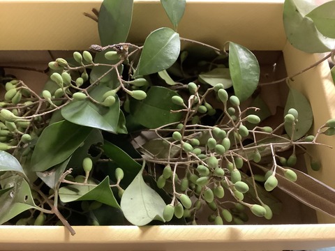 ACD852A3-8BC3-41E7-95C7-B56A657A4C27