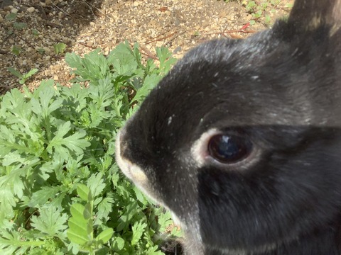 193722DB-4FFD-433C-9ECF-2C1332643358