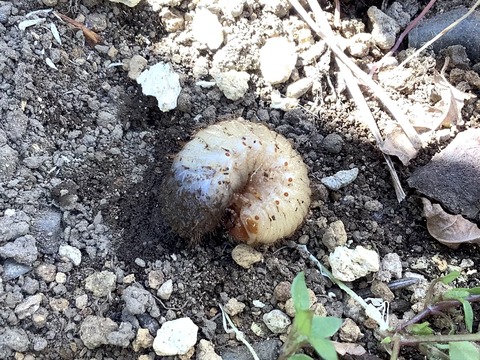 814DFA5F-C553-40A0-9711-2E8E499B2134