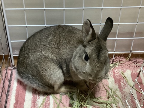 13A2E75B-E469-49C4-B45B-902D584170CF