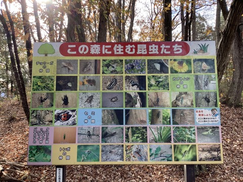 185853BF-E472-4B7A-AC14-8F54E7A4882D