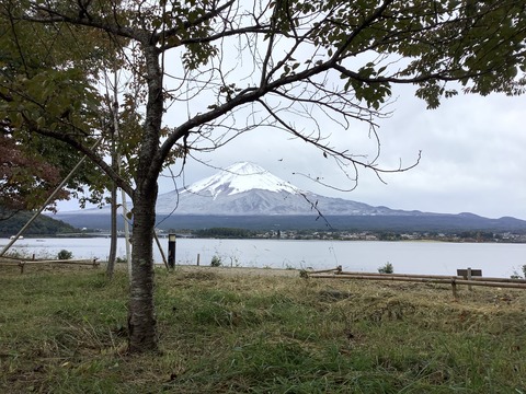 C1513A18-E4D4-43EA-901E-D024FE2BD24B