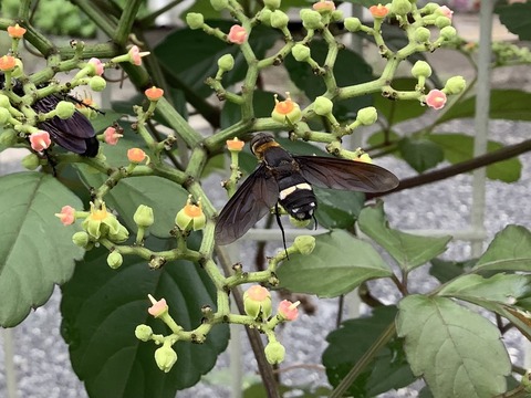 BD2B1F9B-0886-4D1E-9F65-61AF302467A2