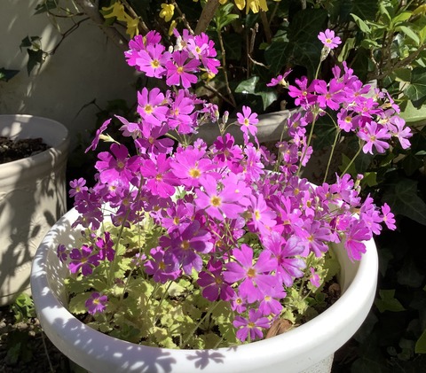 C9E6EFE2-C443-47FB-A6C2-29E566C3BAD9